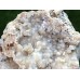 Chalcedon